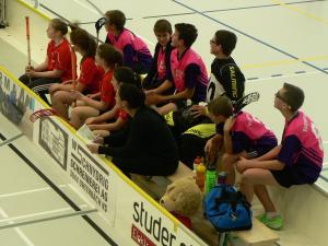 bild4.jpg